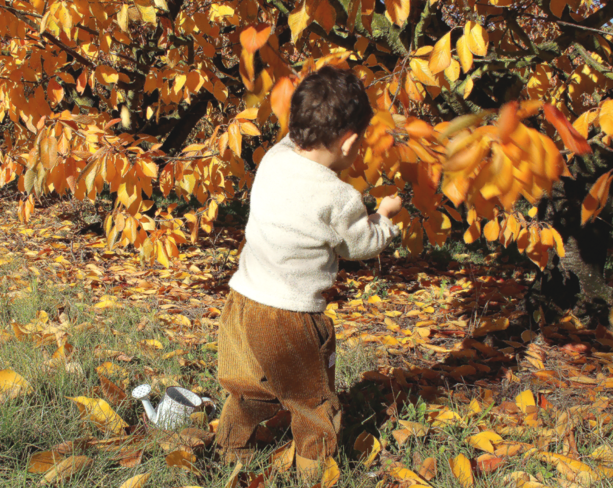 Enfant dans feuillage avec pantalon en velours